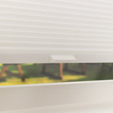 Image 66935875404160