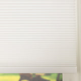 Image 66935875371392